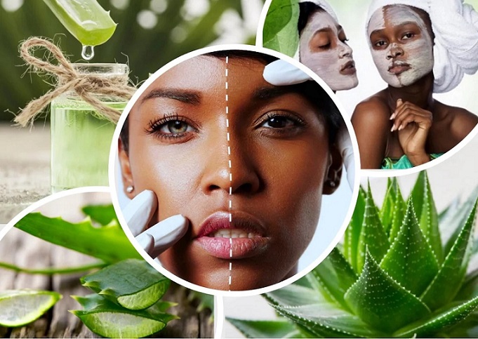 Aloe Vera - A Wonder Herb For Skin #health #FrizeMedia