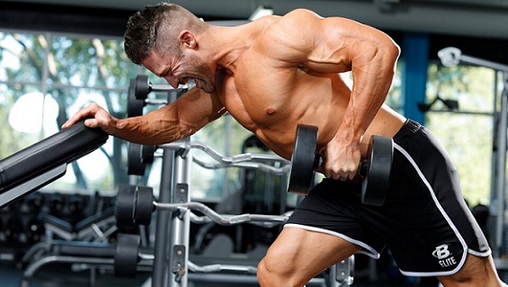 Bodybuilding8