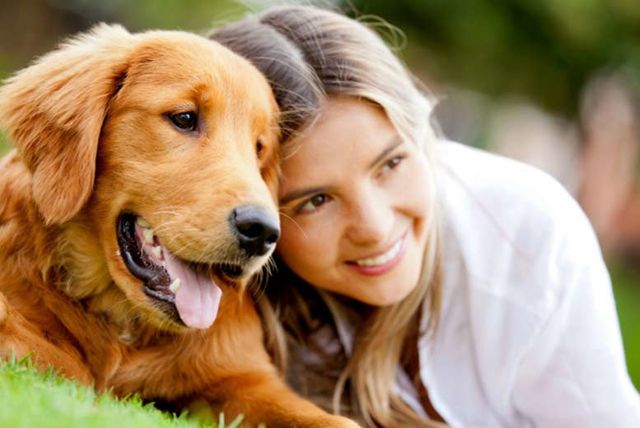 #Dogs - General History Of Dogs #pets #FrizeMedia