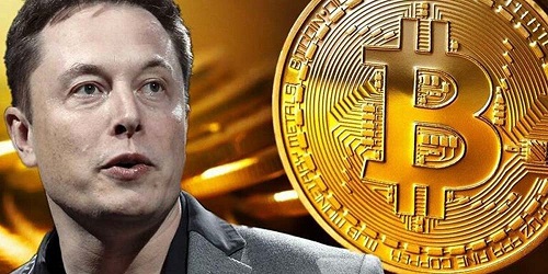 Will Tesla Dump Its Bitcoin Holdings This Quarter? #FrizeMedia