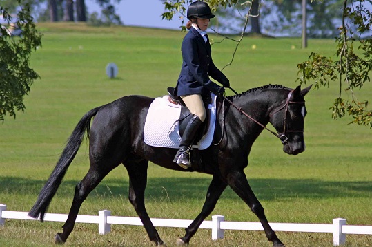#Equestrian - More Than Just #Horse Riders #Equestrianlife #FrizeMedia