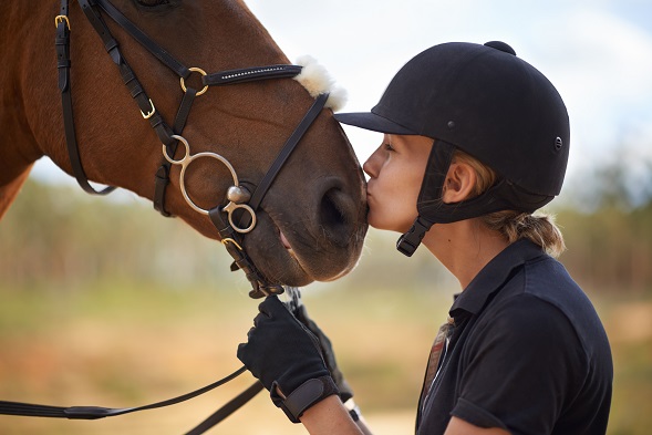 #EquineJobs - How to Find the Right Path for You #Horses #FrizeMedia