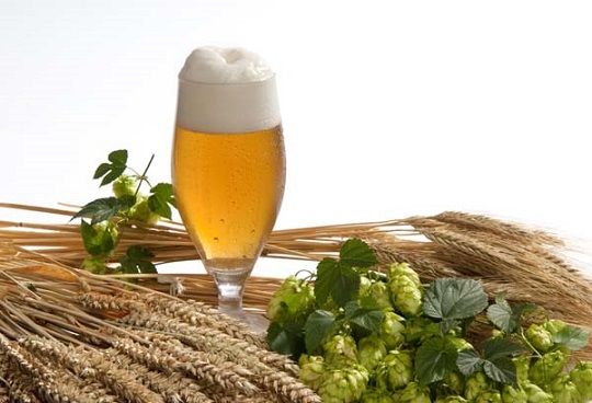 Beer Brewing - Home Brew Beer #FrizeMedia