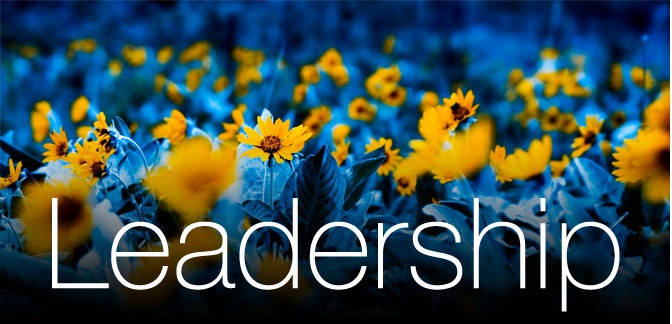 Leadership Qualities - Turning Peoples Bad Attitude Into Top Results #FrizeMedia