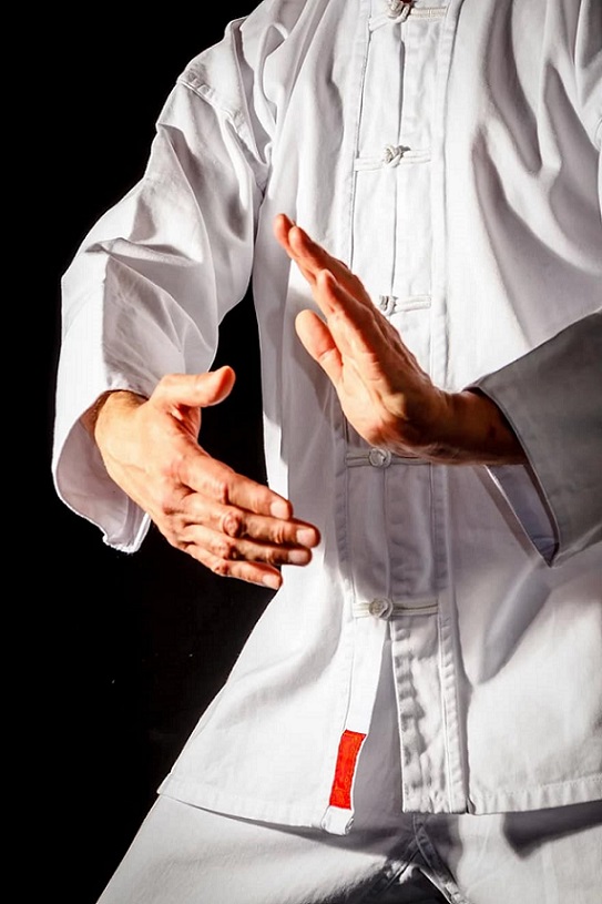 Martial Arts Definition Styles History Facts Training 