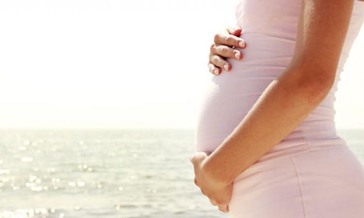 Pregnancy4
