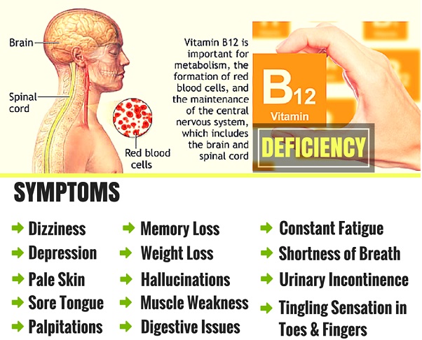 Vitamin B 12 Deficiency - Causes Symptoms Prevention #FrizeMedia #Health