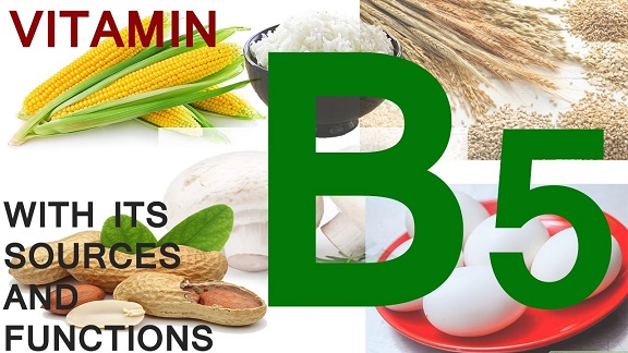 Vitamin b5 - Pantothenic Acid Benefits Deficiency Dosage #FrizeMedia