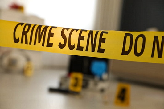 Crime Criminology