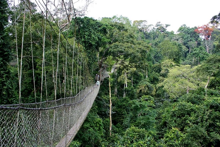 Ghana Kakum National Park