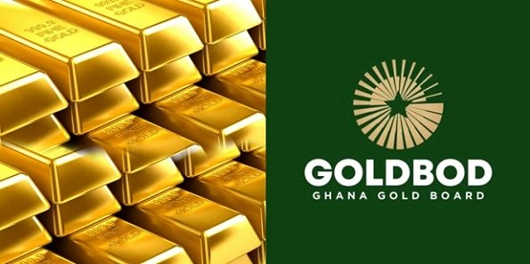 GoldBod6 GoldBod6