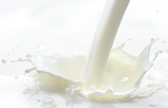 Milk is used to such a great extent because it fills many of the requirements of an ideal food.