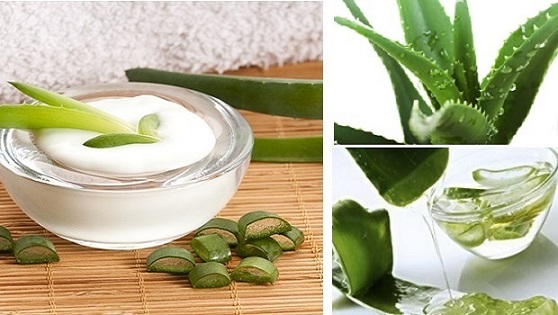 Superfoods Aloe Vera - FrizeMedia