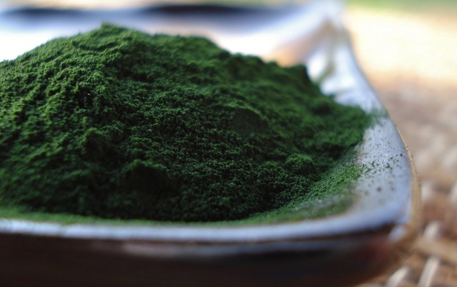 The nucleic acids RNA and DNA in Chlorella  direct cellular growth and repair and enable our bodies to utilize nutrients more effectively,eliminate toxins and avoid disease.