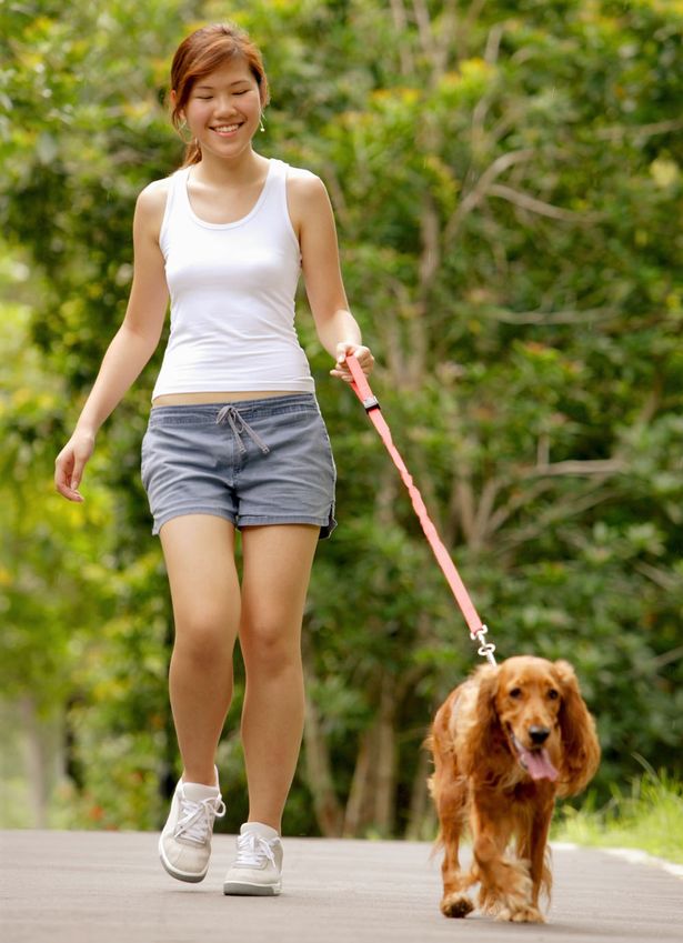 Walking For Fitness - FrizeMedia