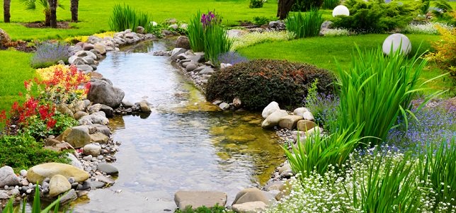#Landscaping - Water Garden Tips #HomeImprovements #FrizeMedia